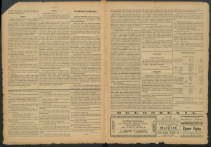 gazeta-1885-100-00005