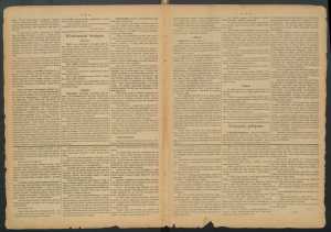 gazeta-1885-102-00002