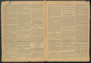 gazeta-1885-103-00002