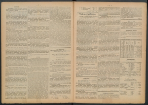 gazeta-1885-37-00002