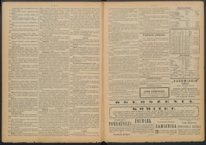 gazeta-1885-39-00002