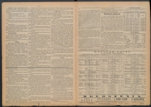 gazeta-1885-41-00002