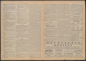 gazeta-1885-42-00002