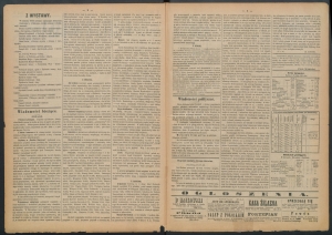 gazeta-1885-43-00002