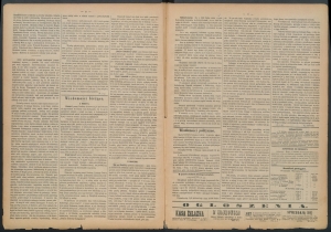 gazeta-1885-44-00002