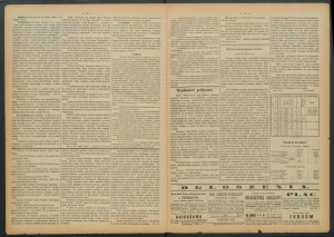 gazeta-1885-46-00002