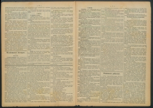 gazeta-1885-49-00002