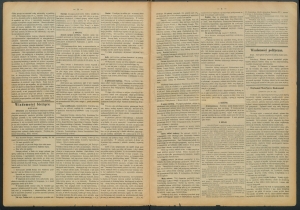 gazeta-1885-51-00002