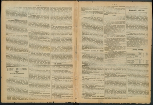 gazeta-1885-52-00002