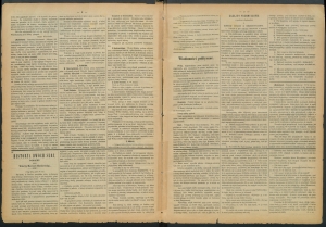 gazeta-1885-55-00002