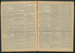 gazeta-1885-60-00002