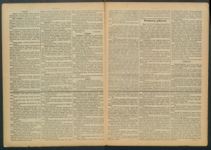 gazeta-1885-63-00002