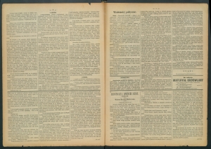 gazeta-1885-64-00002