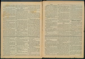 gazeta-1885-65-00002