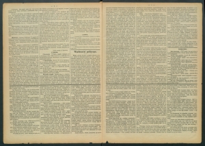 gazeta-1885-67-00002