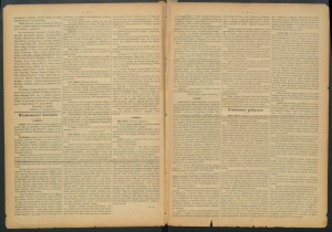 gazeta-1885-95-00002