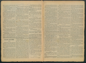 gazeta-1886-101-00002