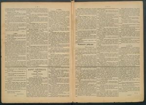 gazeta-1886-15-00002