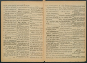 gazeta-1886-16-00002