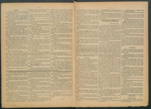 gazeta-1886-17-00002