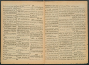 gazeta-1886-24-00002