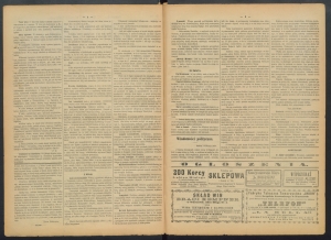 gazeta-1886-28-00002