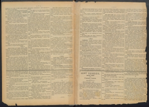 gazeta-1886-29-00002