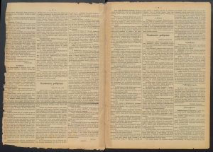 gazeta-1886-29-00003