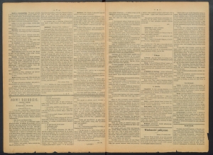 gazeta-1886-31-00002