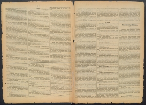 gazeta-1886-33-00003