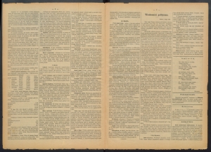 gazeta-1886-34-00002