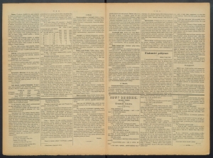 gazeta-1886-36-00002