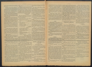 gazeta-1886-38-00002