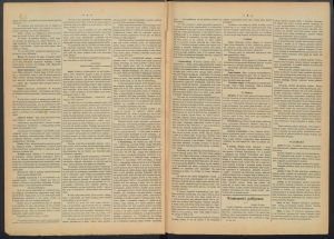 gazeta-1886-40-00002