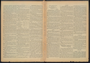 gazeta-1886-41-00002