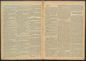 gazeta-1886-46-00002