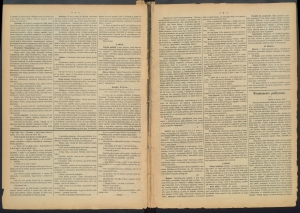 gazeta-1886-49-00002