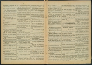 gazeta-1886-56-00002