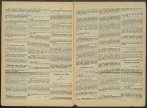 gazeta-1886-59-00002