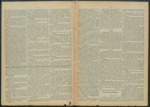 gazeta-1886-60-00002