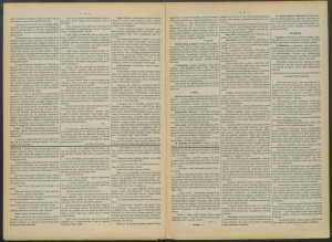 gazeta-1886-61-00002