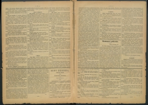 gazeta-1886-7-00002