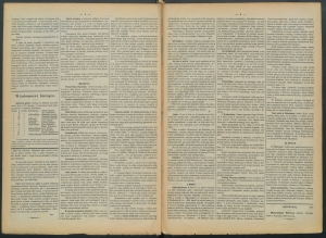 gazeta-1886-73-00002