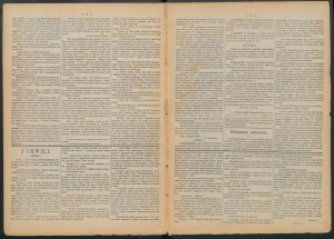 gazeta-1886-90-00002