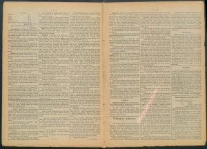 gazeta-1886-96-00002