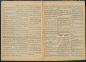 gazeta-1886-97-00002