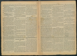 gazeta-1886-99-00002