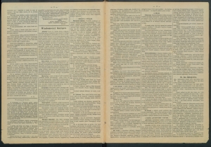 gazeta-1887-102-00002