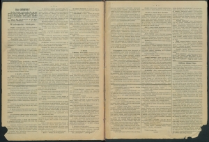 gazeta-1887-103-00002