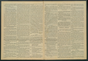 gazeta-1887-22-00002